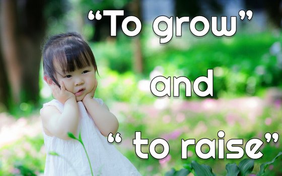 to_grow