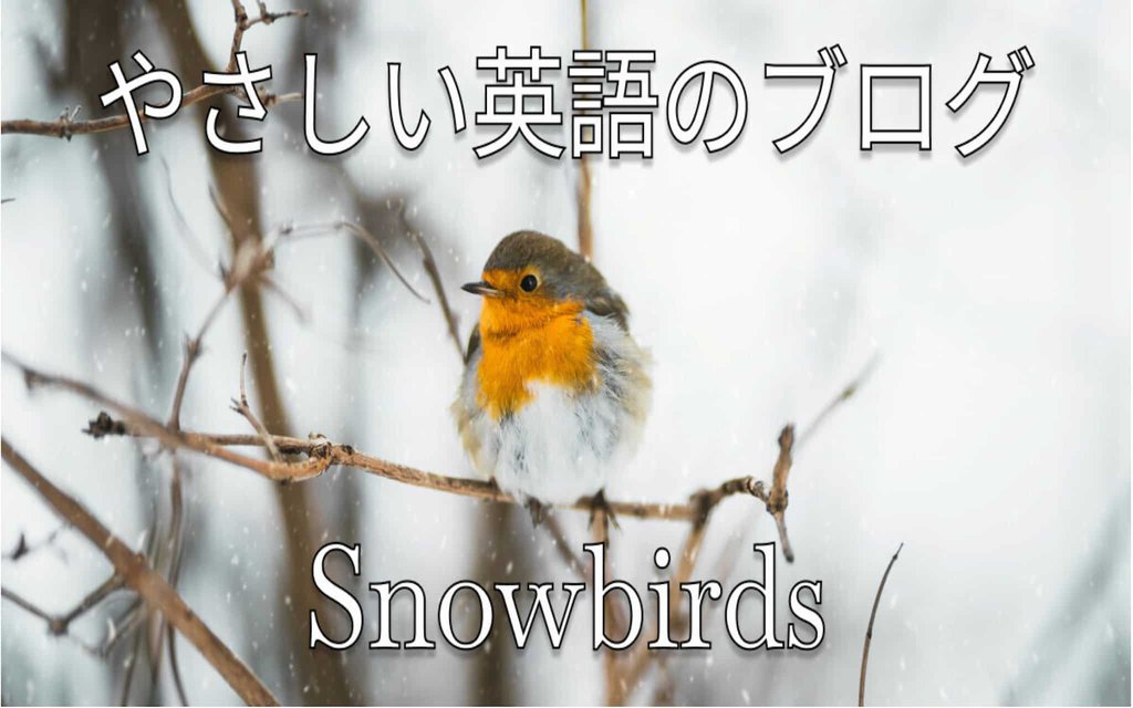 snowbirds