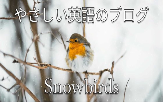 snowbirds