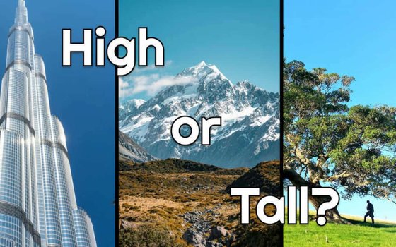 tall_high_main