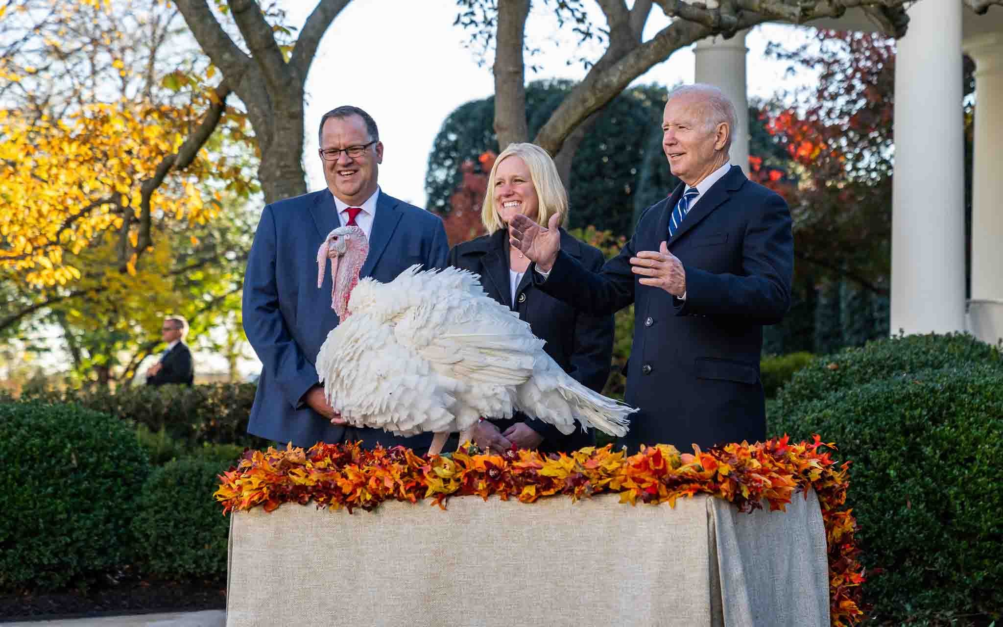 President Biden pardons Thanksgiving Turkey