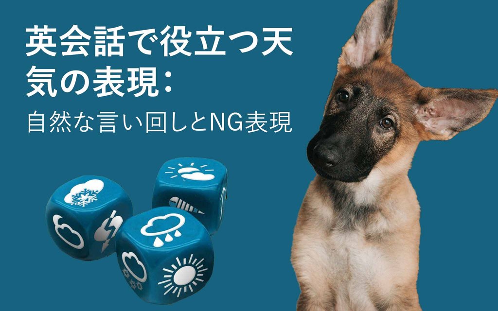 Weather dog