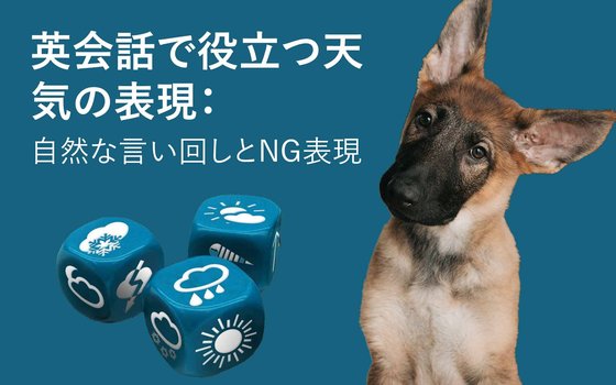 Weather dog